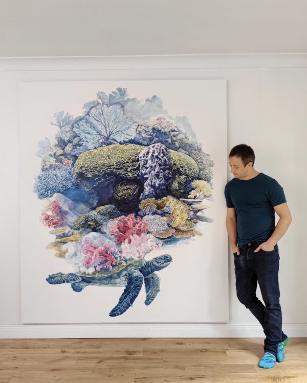 Oceans: Treasures of the Deep with Olivier Leger at Albert House - Image 4